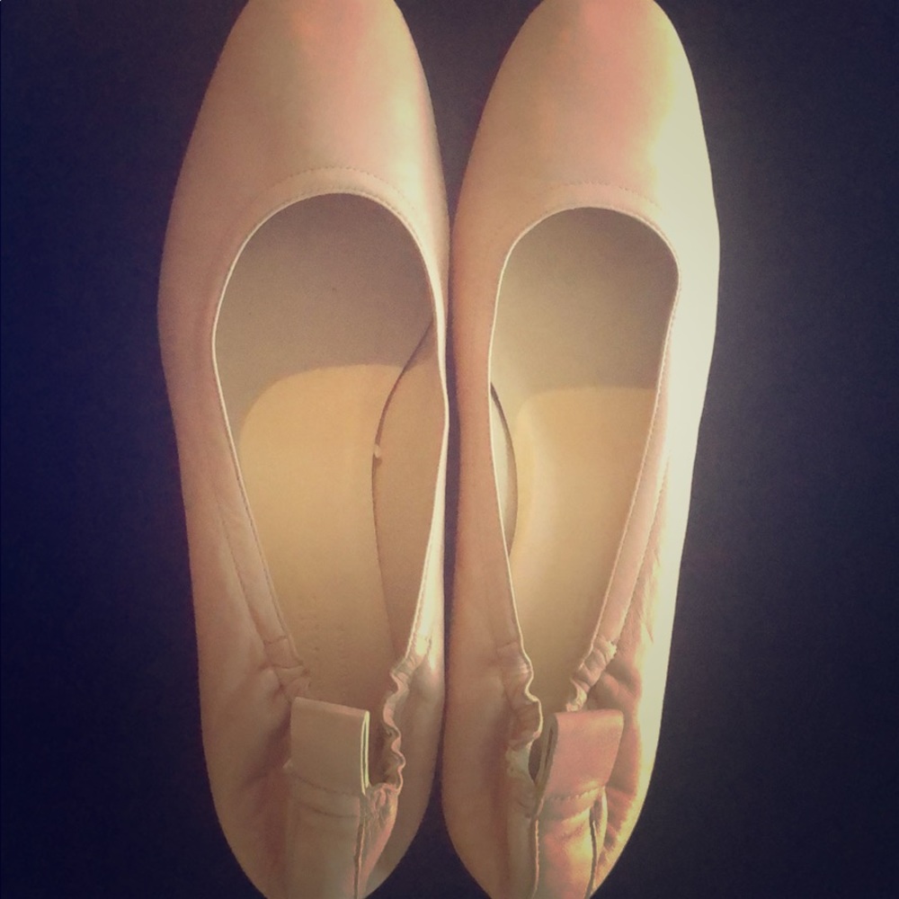 Everlane shoes